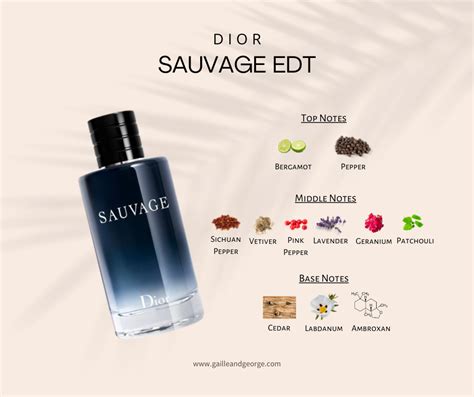 clubbing with dior sauvage|dior sauvage cologne top notes.